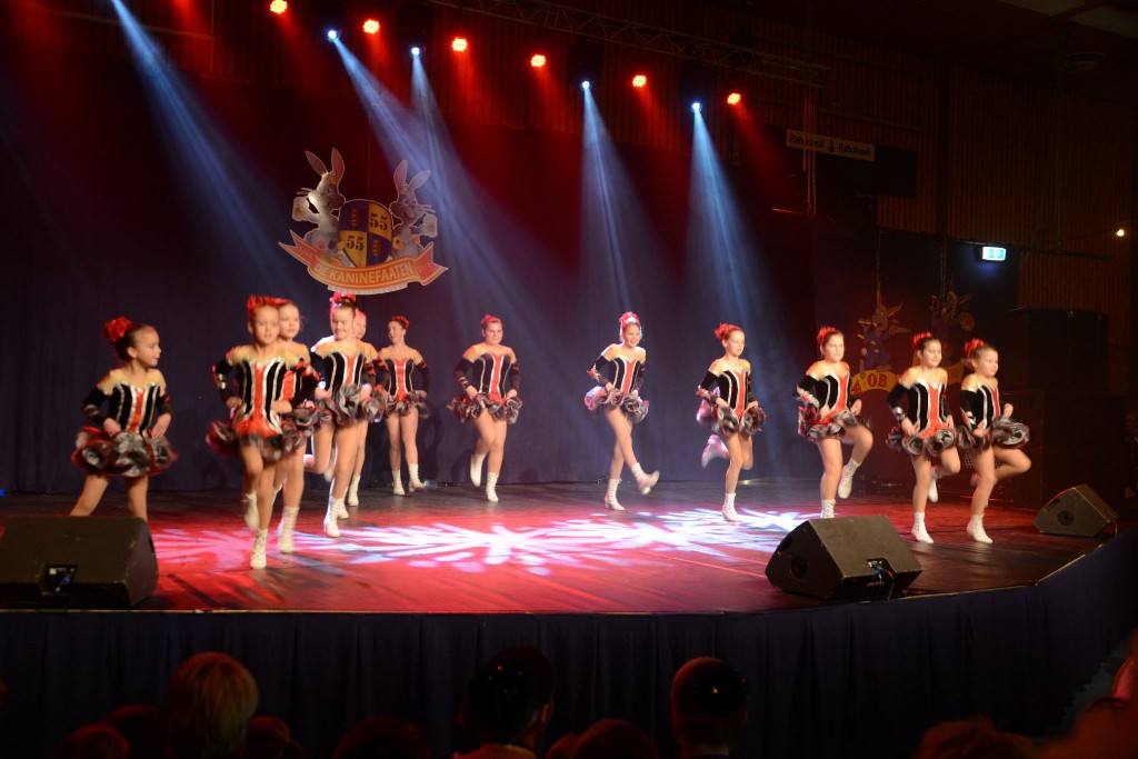 ../Images/Dansmarieke festival 2015 127.jpg